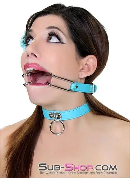 2698RS-SIS      Pretty Sissy Boi. You Are the BDSM Mistress One! Spreader Gag