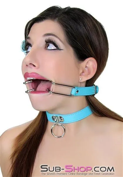 2698RS-SIS      Pretty Sissy Boi. You Are the BDSM Mistress One! Spreader Gag