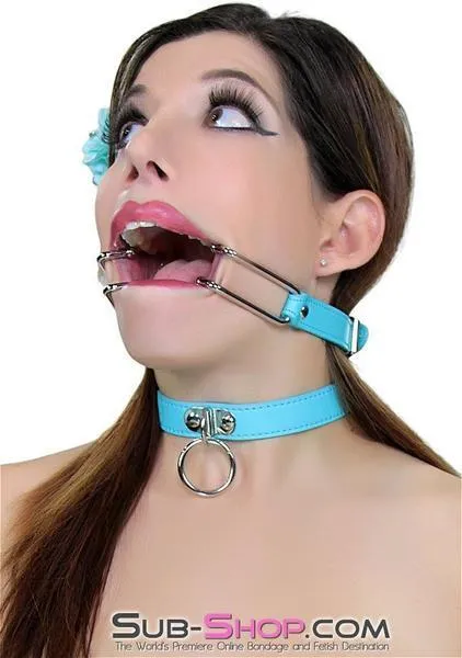 2698RS-SIS      Pretty Sissy Boi. You Are the BDSM Mistress One! Spreader Gag