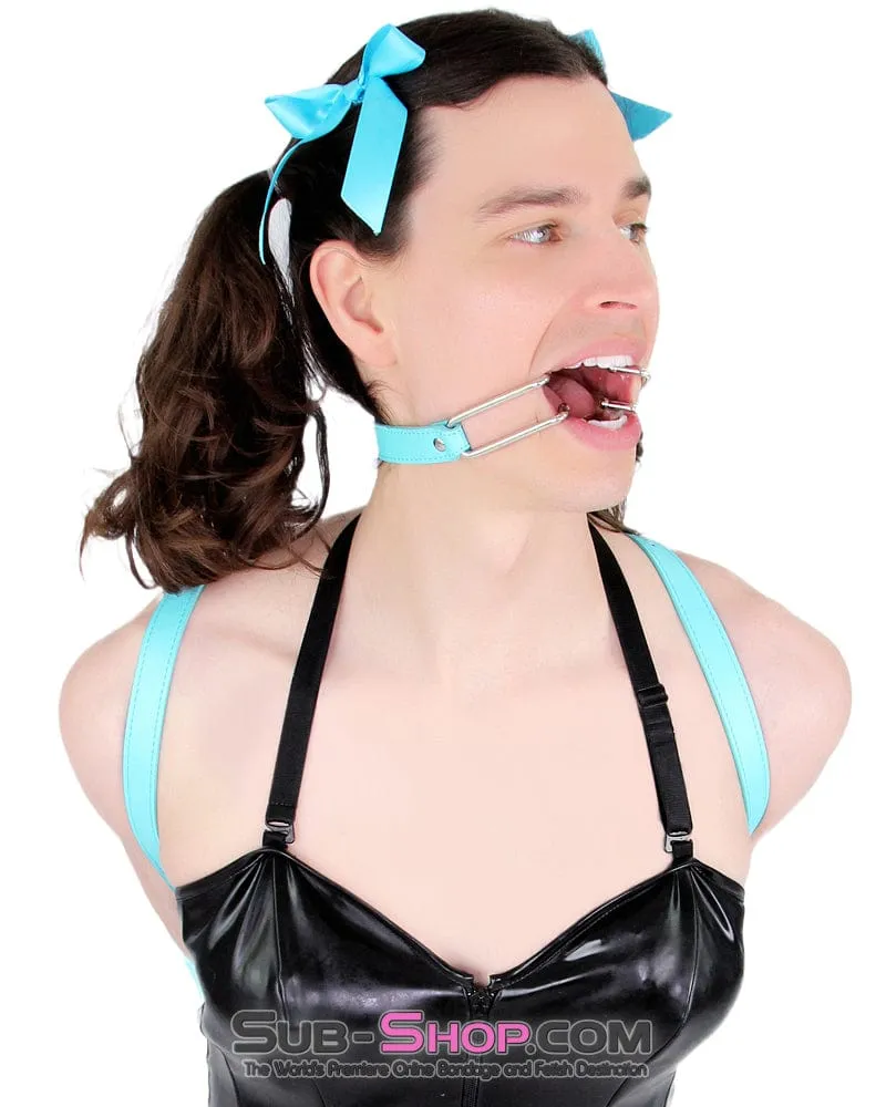2698RS-SIS      Pretty Sissy Boi. You Are the BDSM Mistress One! Spreader Gag
