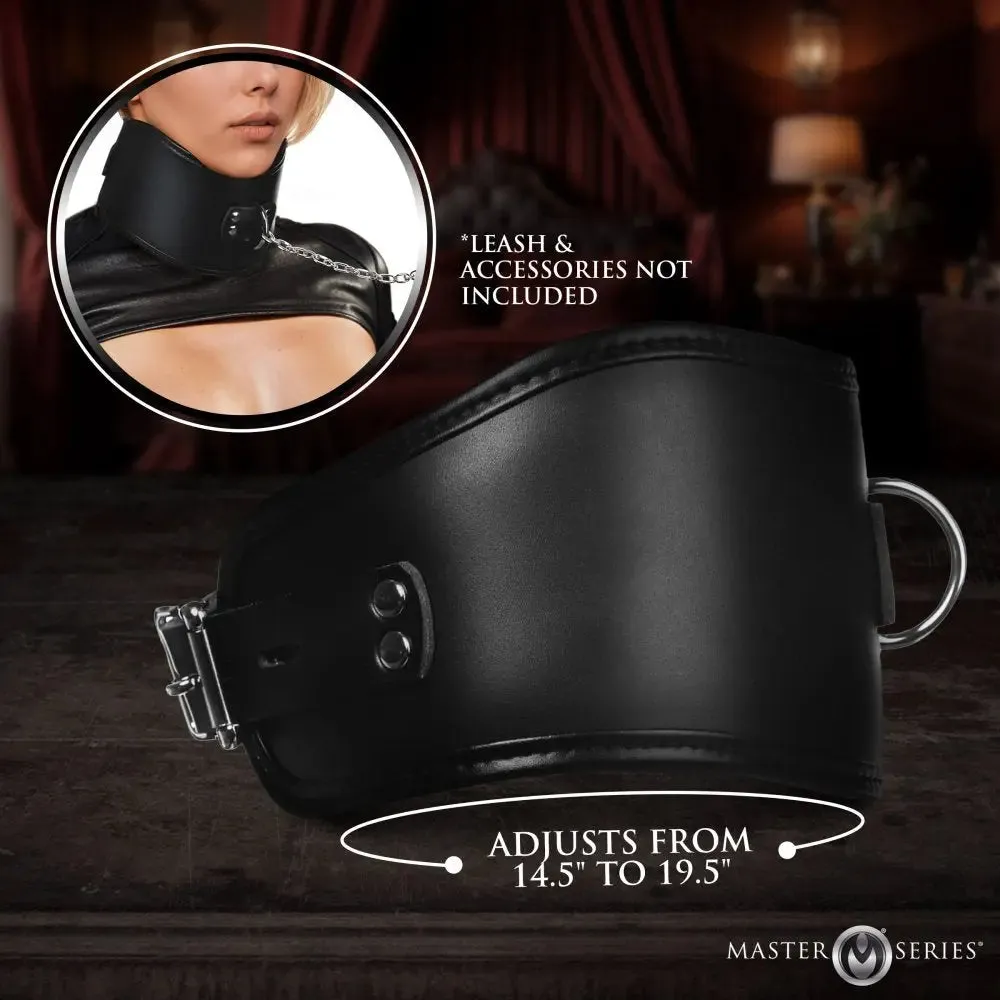 BDSM Collar Hard Stance Padded Locking Posture Bondage Collar