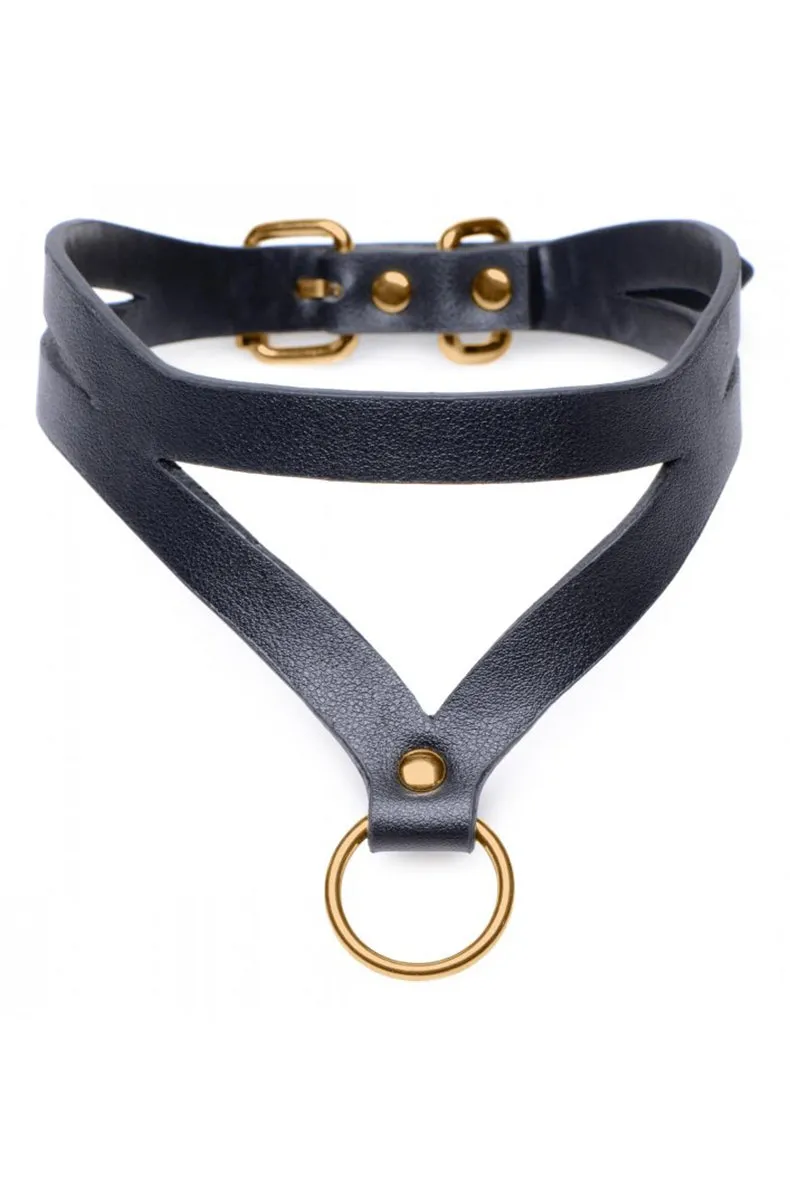Bondage Baddie Collar and Leash