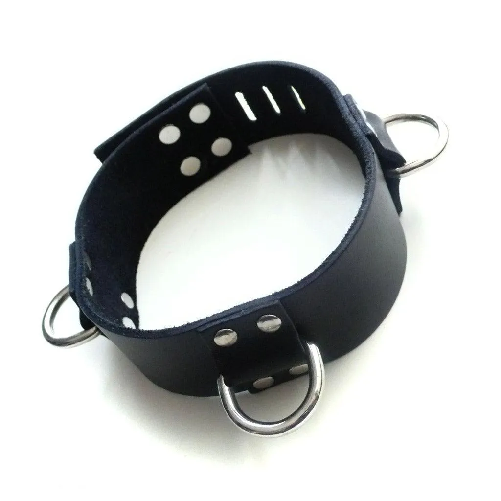 Locking 3 D-ring Collar