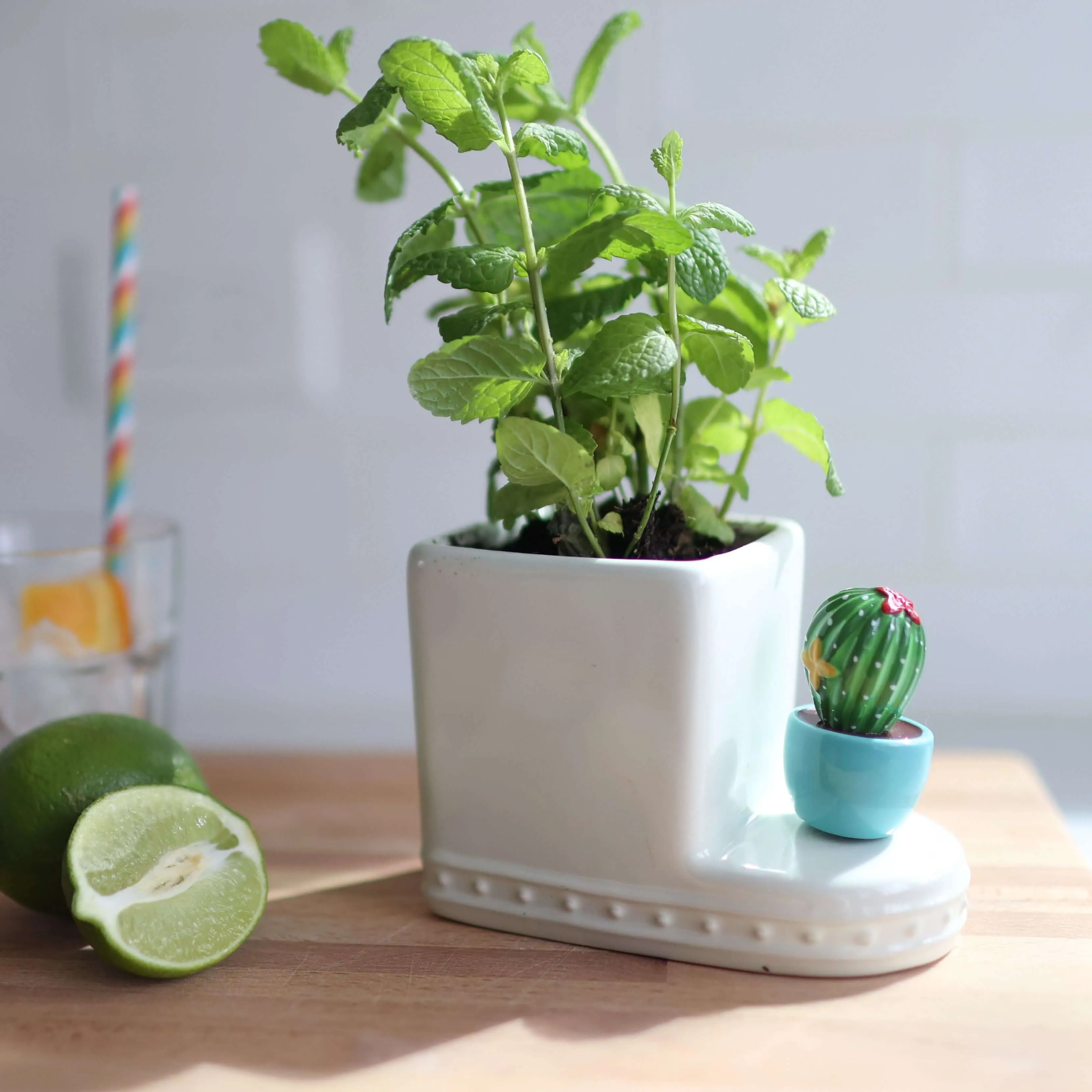 Nora Fleming Can't Touch This Cactus Mini A266