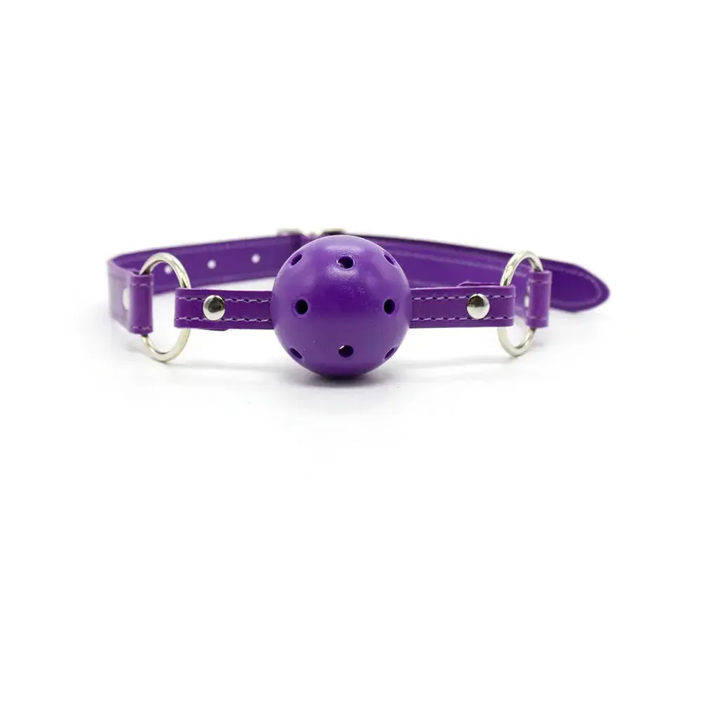 Ple'sur 12-Piece Everything Bondage Kit Purple Beginner BDSM Set