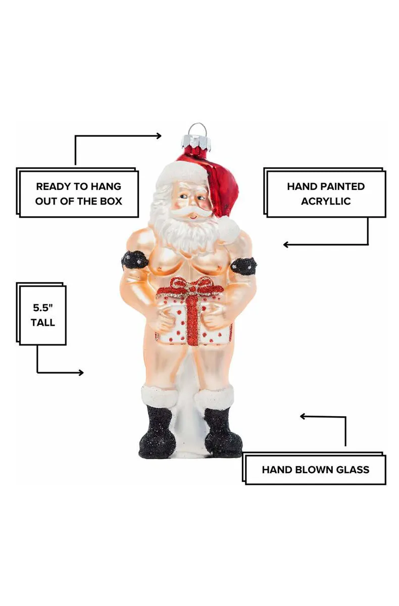Pornament Stiff Package Ornament